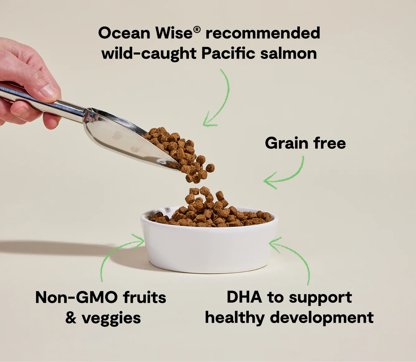 Salmon & Sweet Potato Grain-Free Puppy Kibble