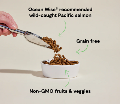 Wild-Caught Salmon Grain-Free Dog Kibble