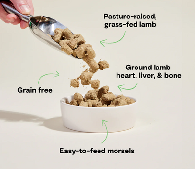 Pasture-Raised Lamb Freeze Dried Raw Morsels