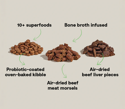 Epic Blend Beef & Superfood Dry Dog Food