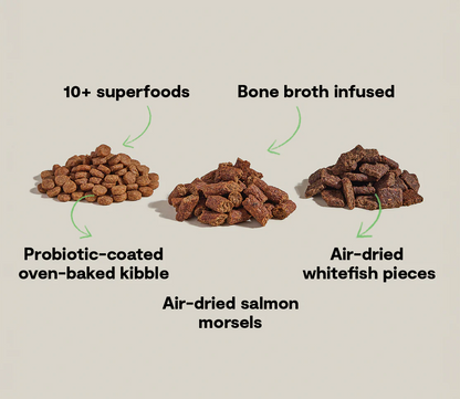Epic Blend Salmon & Superfood Dry Dog Food