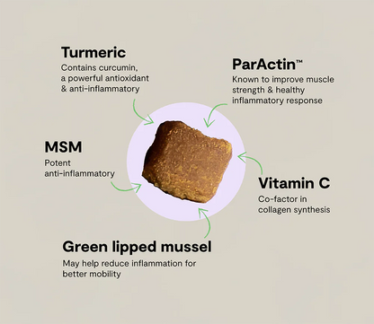 Hip & Joint Supplement Chews