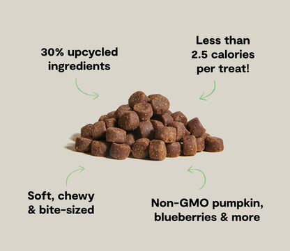 Be Good Bites Plant & Pumpkin Treats