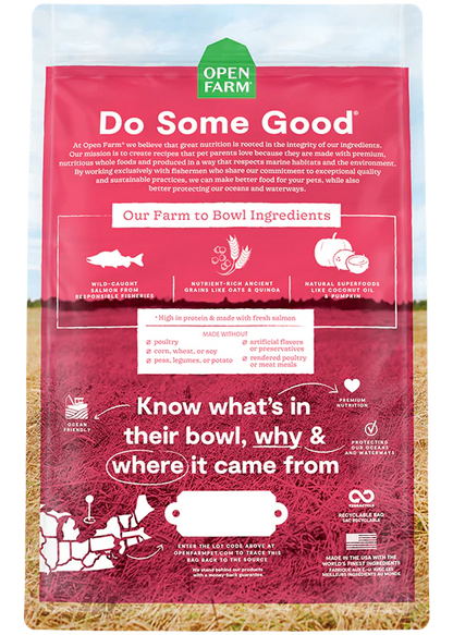 Wild-Caught Salmon & Ancient Grains Dry Dog Food