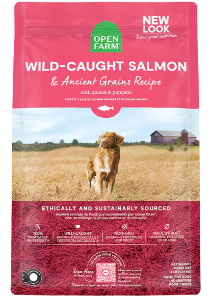 Wild-Caught Salmon & Ancient Grains Dry Dog Food