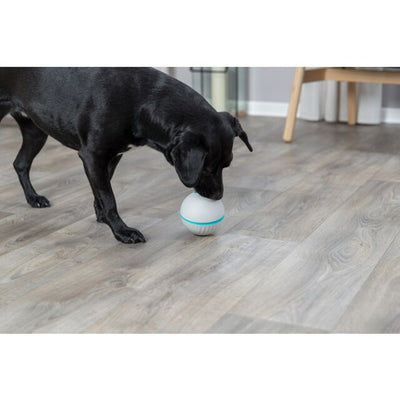 Treat Tumbler Snack Ball