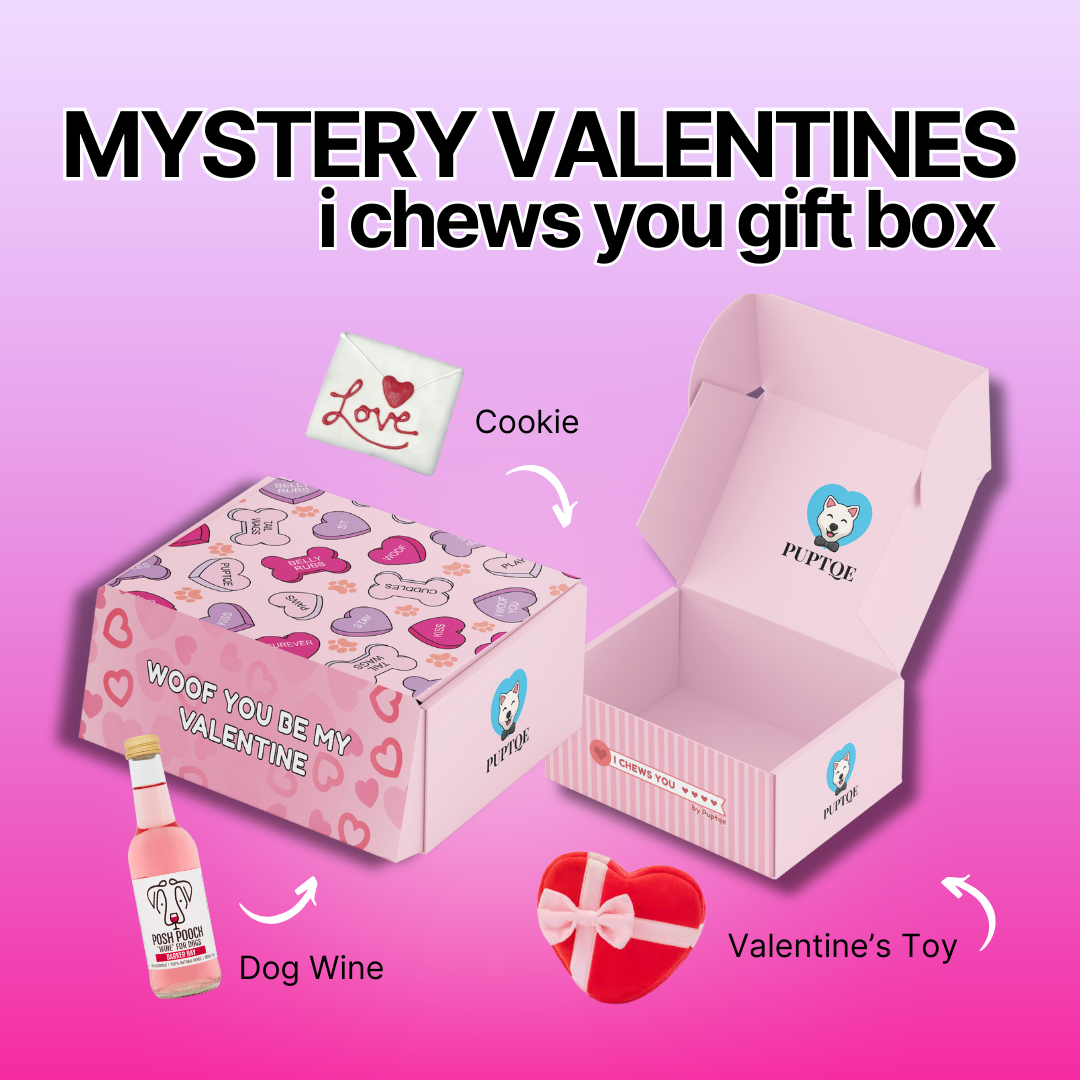 Mystery I Chews You Valentines Day Box