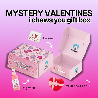 Mystery I Chews You Valentines Day Box