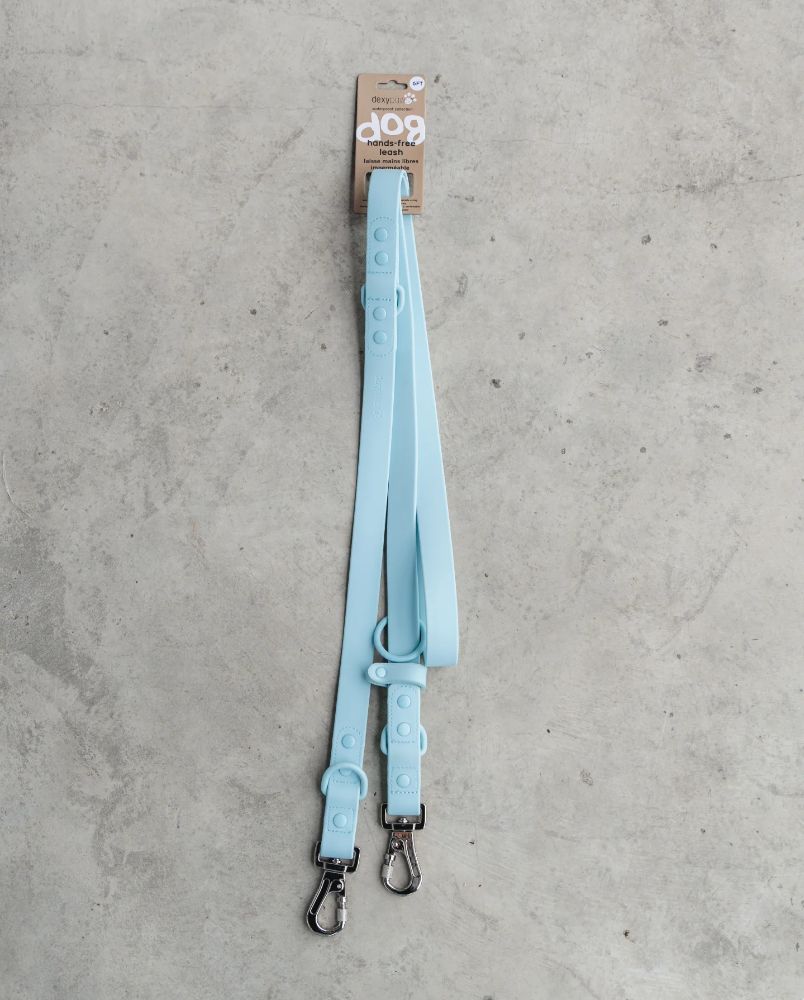 Hands Free Leash in Sky Blue