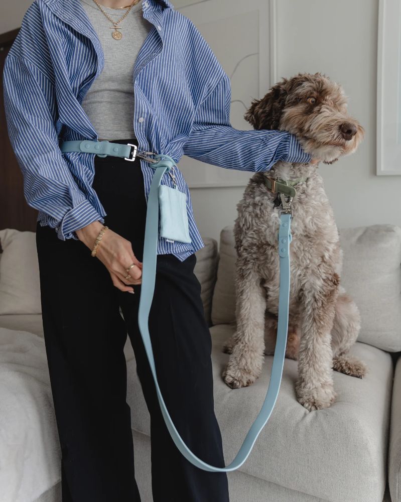 Hands Free Leash in Sky Blue