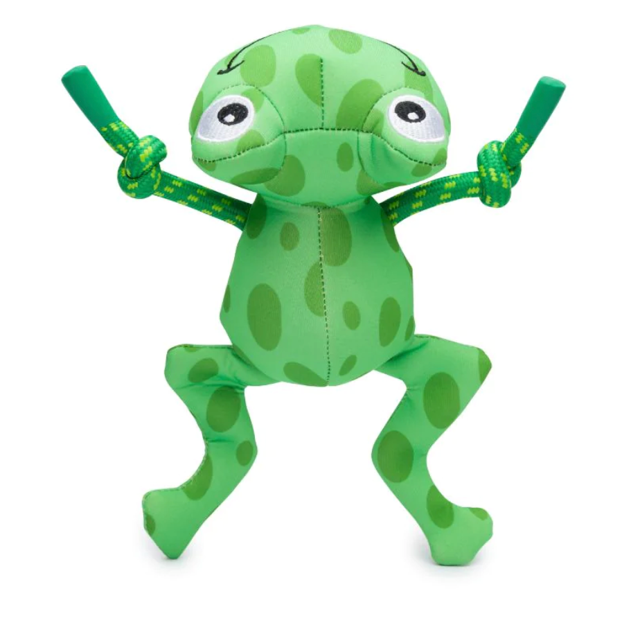 Floatie Frog
