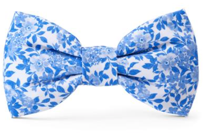 Blue Roses Bow Tie