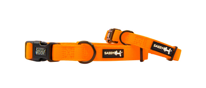 Dog Collar - Neon Orange