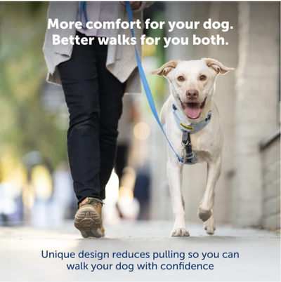 Easy Walk Comfort No-Pull Dog Harness