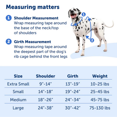Easy Walk Comfort No-Pull Dog Harness