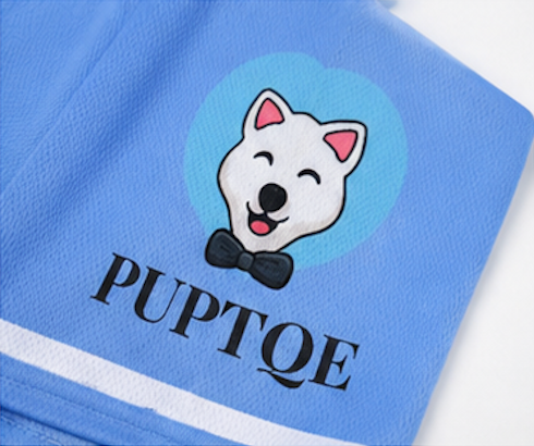 Puptqe Jersey