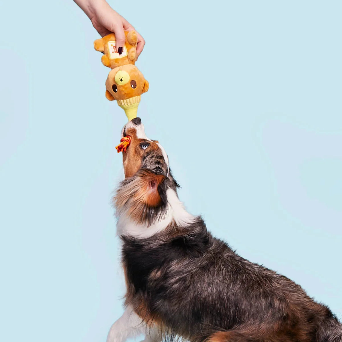 That's My Jam, Honey Plush Multi-Part + Enrichment Dog Toy