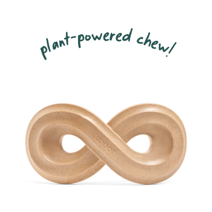 HonestChew Infinity Bone