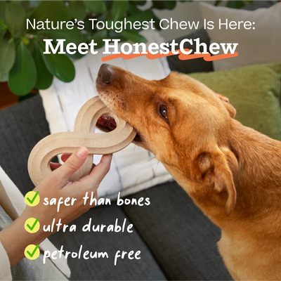 Honest Chew Infinity Bone