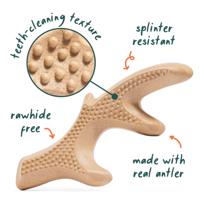 HonestChew Infinity Bone