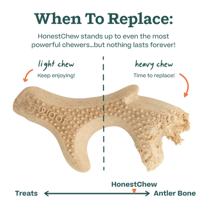 HonestChew Infinity Bone