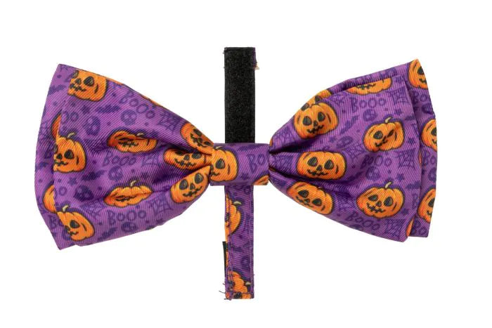 Jack Jack Jackie Lantern - Purple