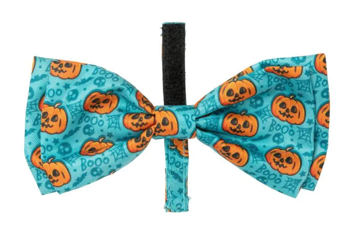 Jack Jack Jackie Lantern Bowtie - Teal