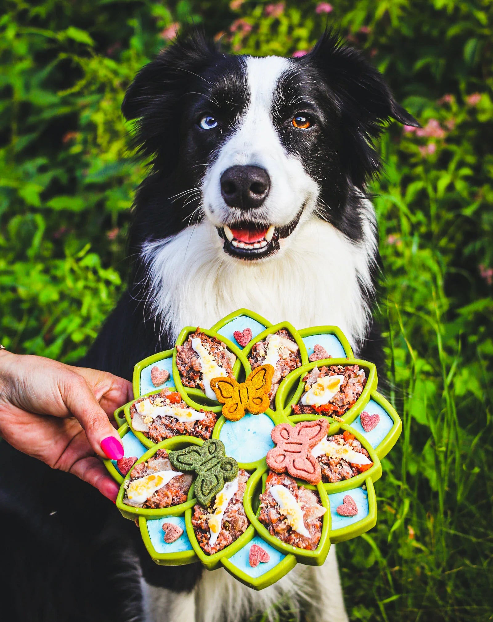 Mandala Design Shallow Slow Feeder Dog Bowl