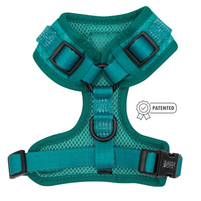 Napa Harness