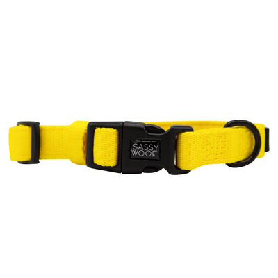 Sassy Woof Neon Yellow Collar