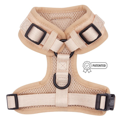 Pinot Harness