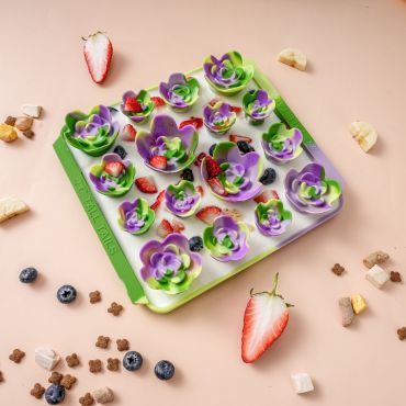 Succulent Foraging Mat