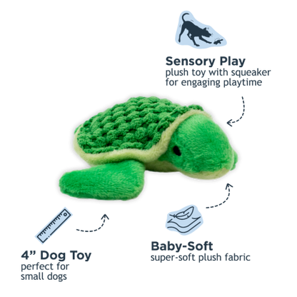 Baby Turtle with Squeaker Dog Toy