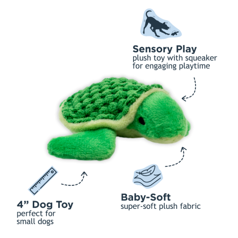 Baby Turtle with Squeaker Dog Toy