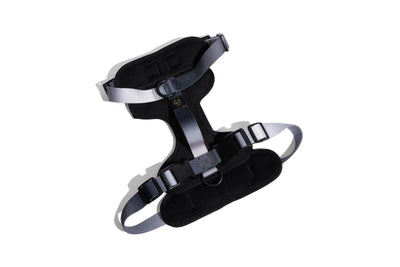Rowan Dog Harness