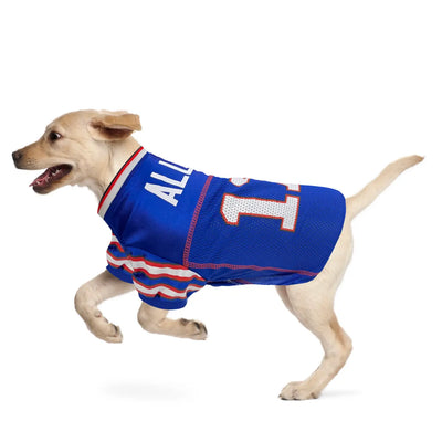Allen NFL Jersey