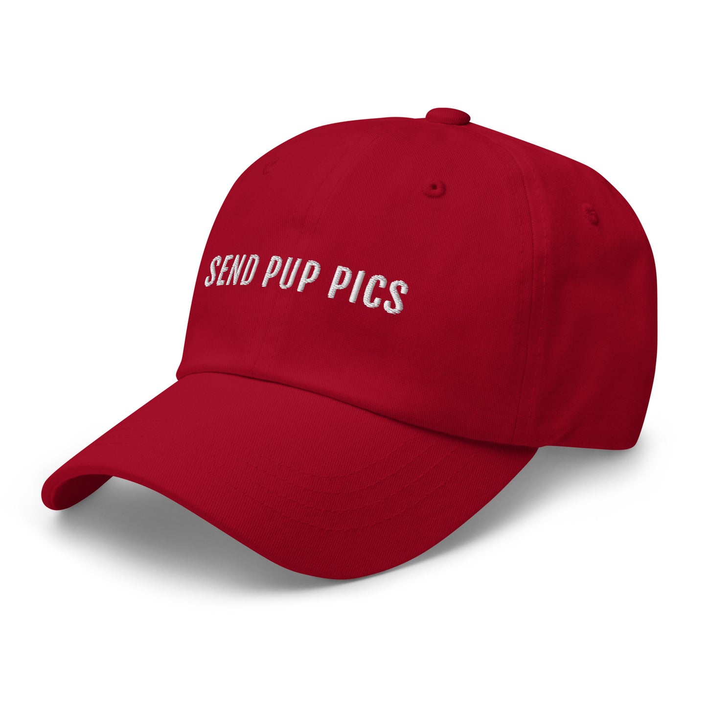 send pup pics red hat for pet dad